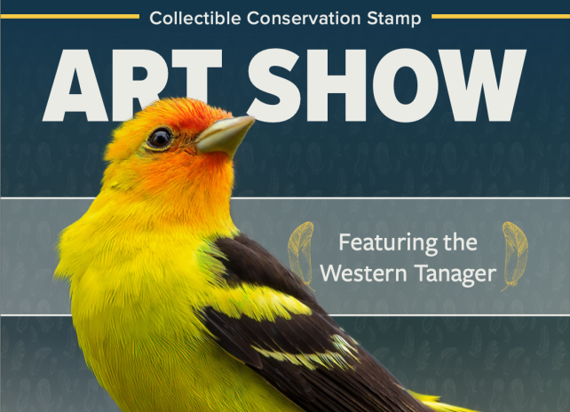 A photo that says "Collectible Conservation Stamp Art Show" with a photo of a western tanager on a post. The background is a blue gradient with a feather pattern.
