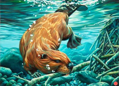 Beaver swimming underwater with a branch in its mouth