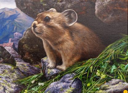 American Pika An American Pika perched on rocks with distant mountains in the background on the top left of the painting.