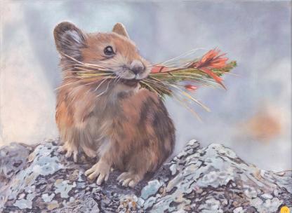 American Pika A painting of an American Pika on a rock with indian paintbrush in its mouth