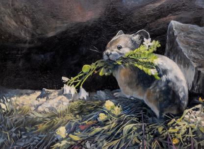 American Pika Painting An American Pika painting featuring a Pika building a haystack by carrying plants in its mouth