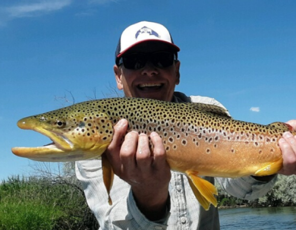 Male angler holds a brown trout for his Master Angler photo submission