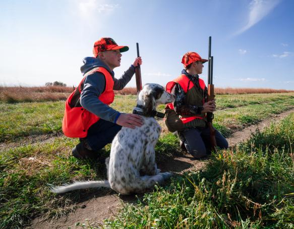 Youth hunters and dog at Springer pheasant hunt