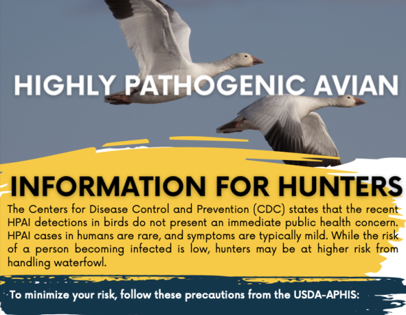 A cropped image of the top half of the Highly Pathogenic Avian Influenza PDF.