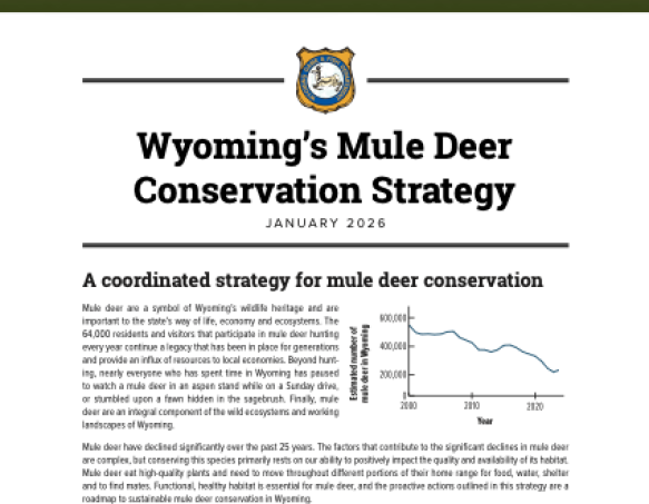 An image of the Cover Page of "Wyoming's Mule Deer Conservation Strategy" Document featuring the shield, "January 2026," a subheading reading "A coordinated strategy for mule deer conservation, a few paragraphs of text, a mule deer population graph showing a decline in population, and a fain image of mule deer toward the bottom of the page