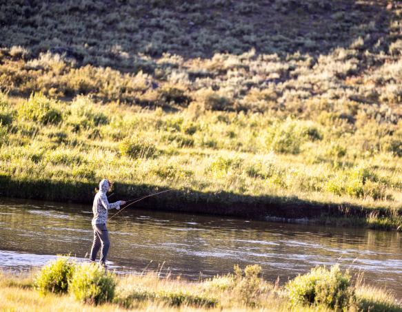 A male angler fly fishing on the bank of a stream with sagebrush and grass in the background across the stream