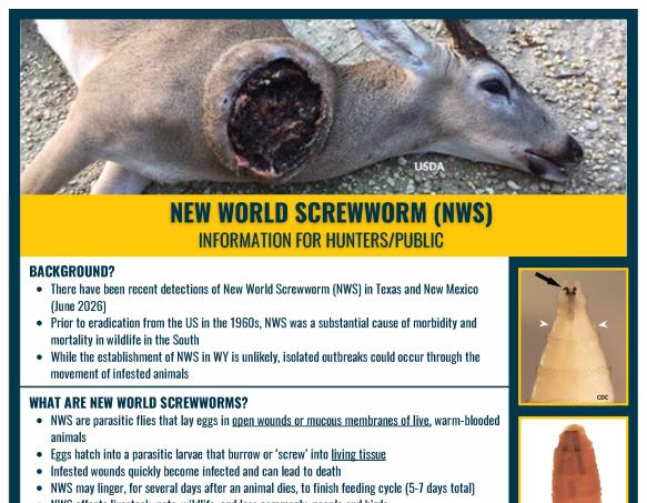 New world screwworm flyer/educational resource