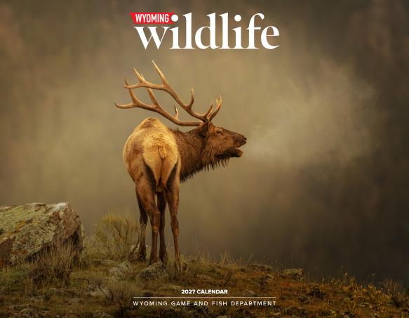 2027 Calendar Cover Image with elk photo