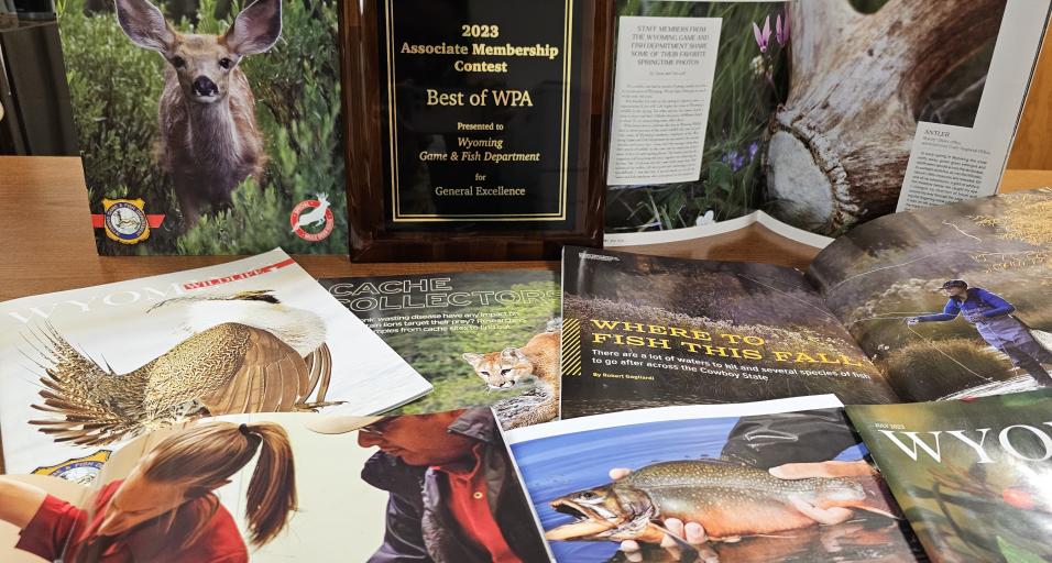 Game and Fish earns 16 WPA awards 