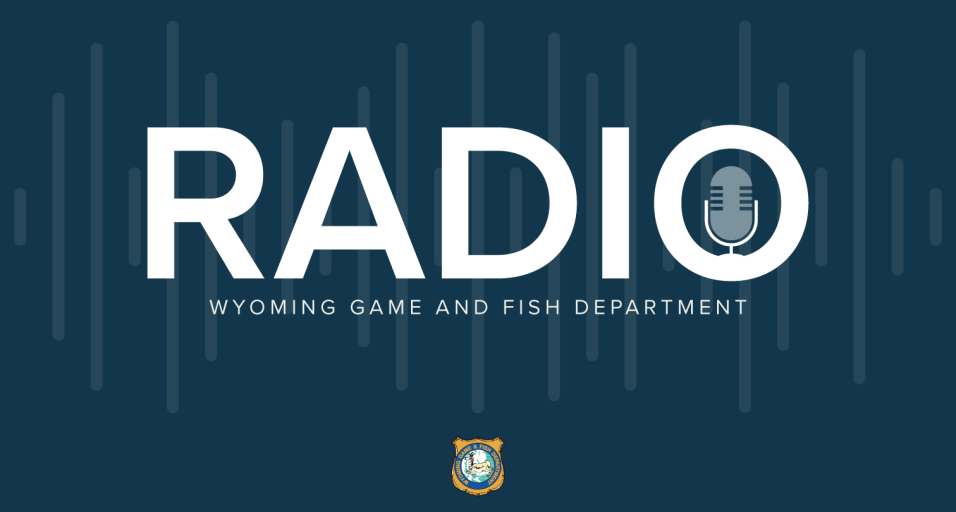 Game and Fish Radio Thumbnail