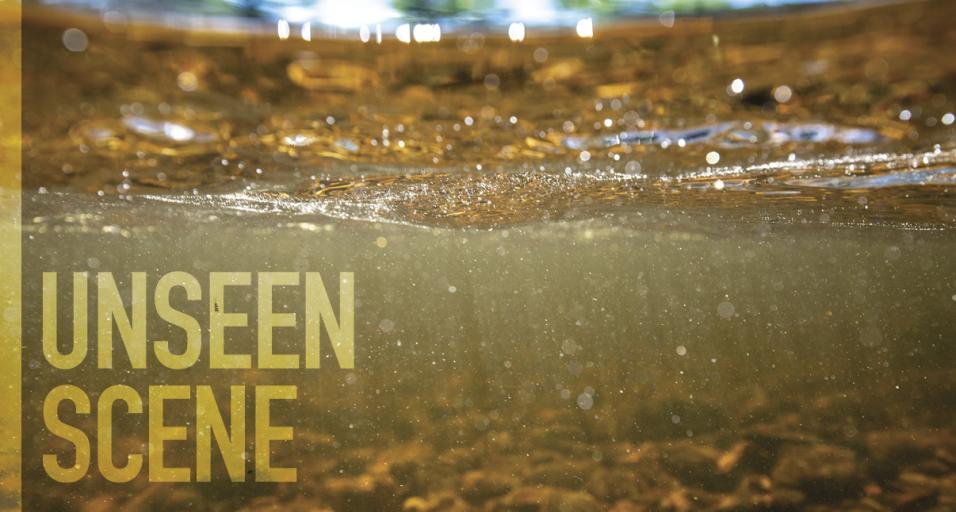 A photograph from beneath water's surface in a river with a rocky stream bed. Bubbles in the water glistening in the sunlight. Text overlays the image in the bottom left and it says, "Unseen Scene" in all caps.