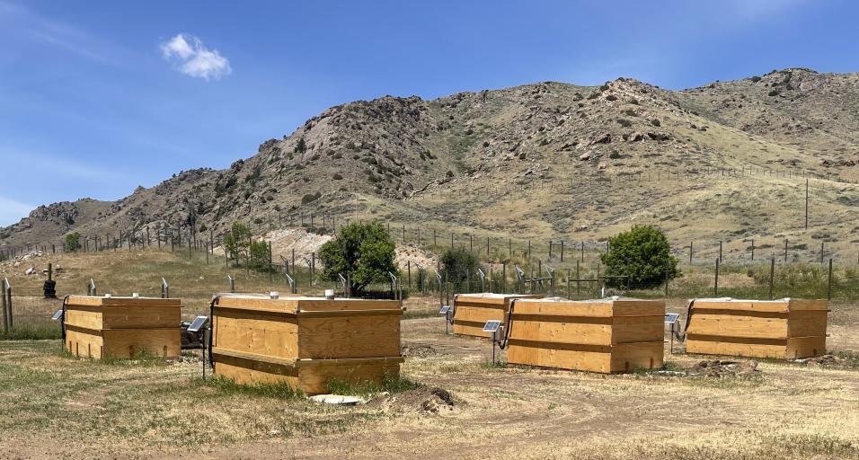 Large wood bins on a flat area with a large hill in the background