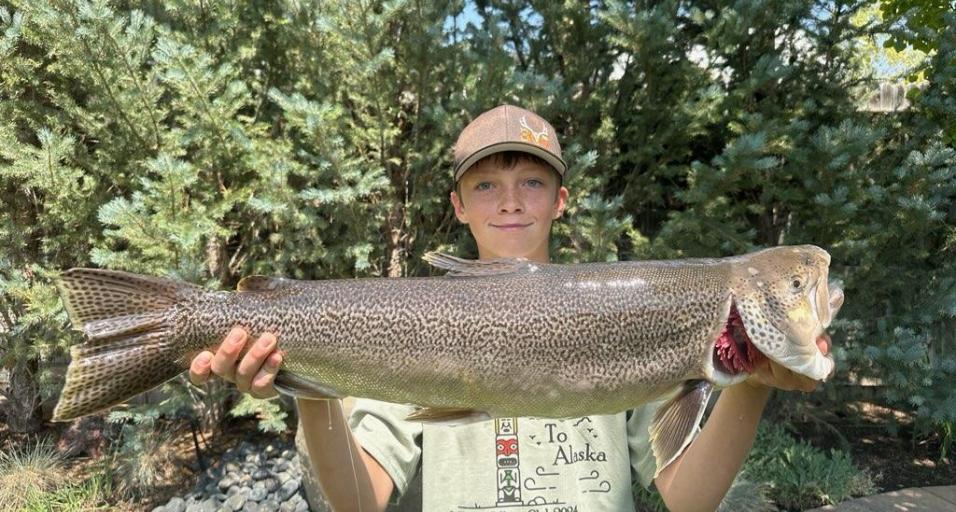 Young angler sets new tiger trout record | Wyoming Game & Fish
