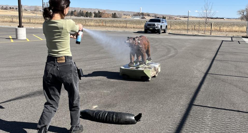 Practicing with inert bear spray on robo bear 