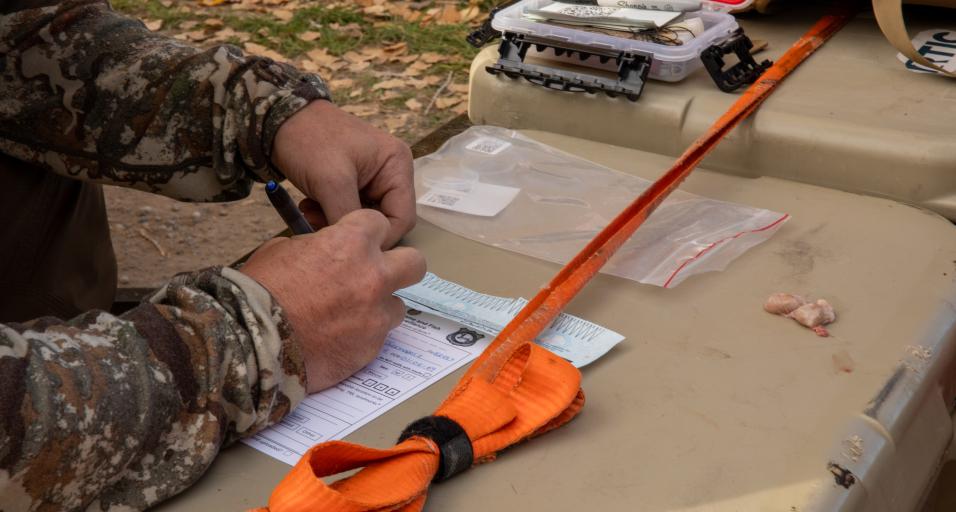 CWD sample submission