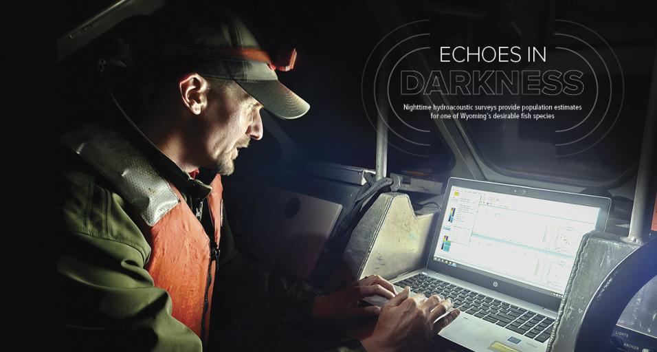 An Wyoming Game and Fish aquatic fisheries biologist prepares a computer program used to process information from hydroacoustic transducers