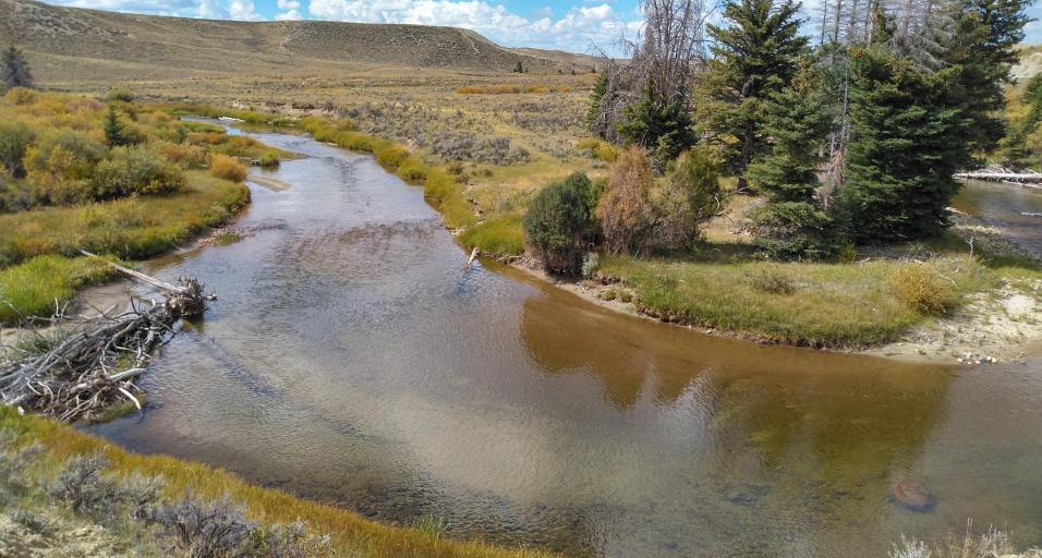 Riparian area, stream in Big Sandy