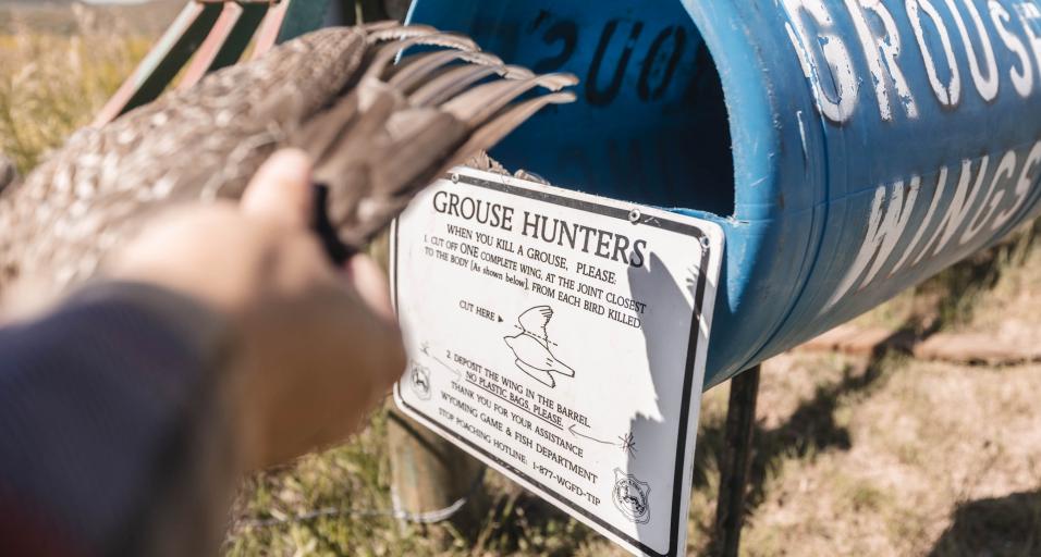sage grouse wing deposit barrel 
