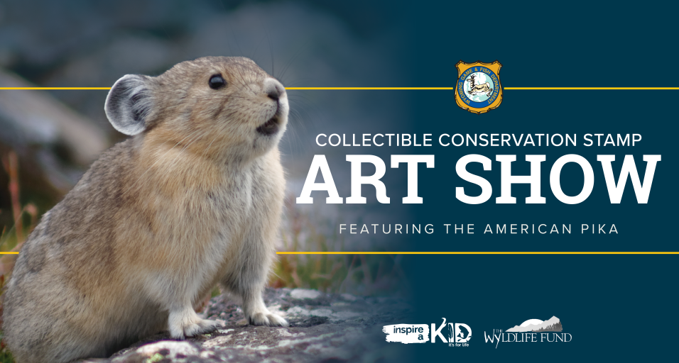 2026 Stamp art show graphic featuring the American pika