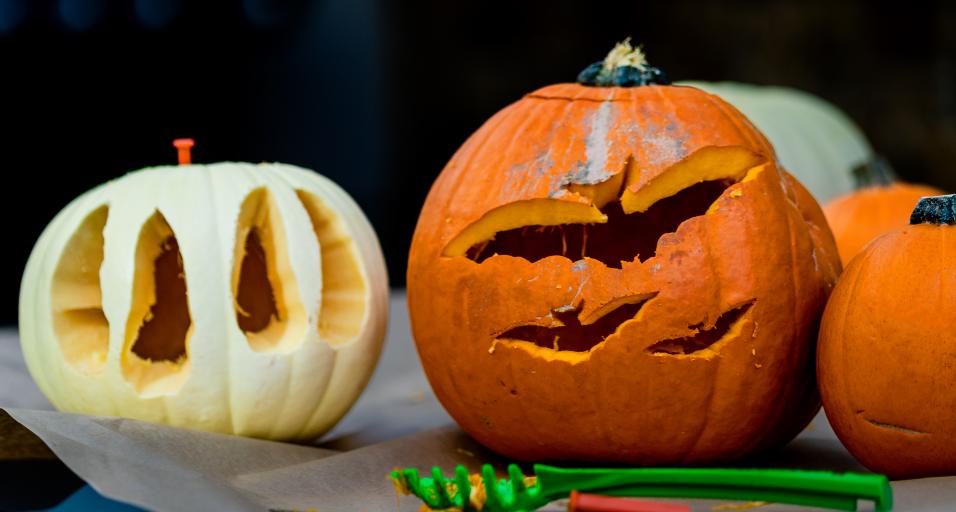 Carved pumpkins with bats