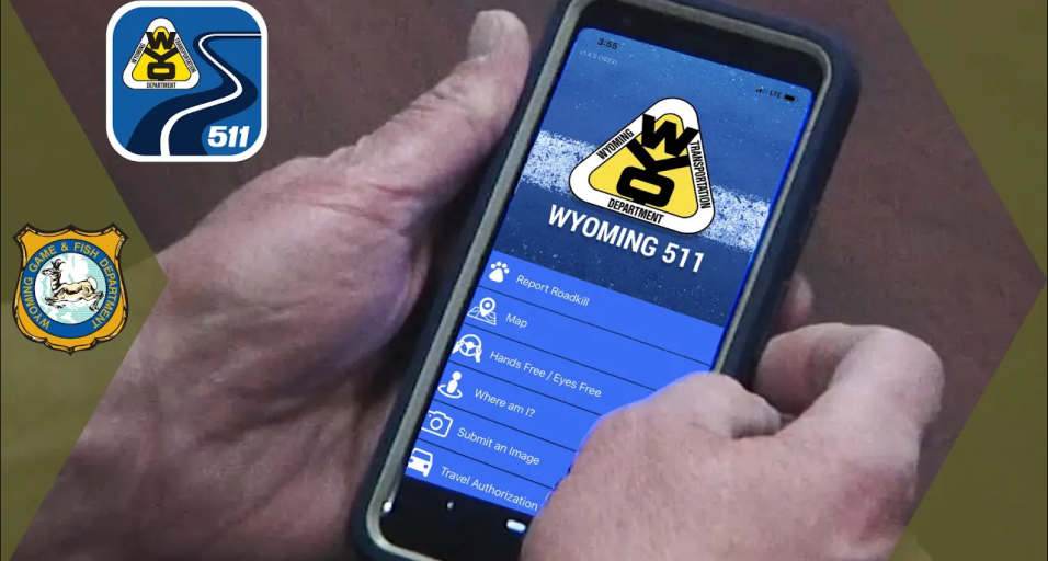 511 APP