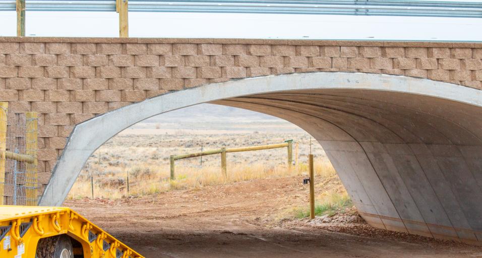 Dry Piney Wildlife Crossing image of an underpass