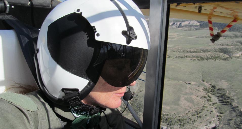 Andrea Orabona, former Game and Fish nongame bird biologist, looks below for raptor nests.