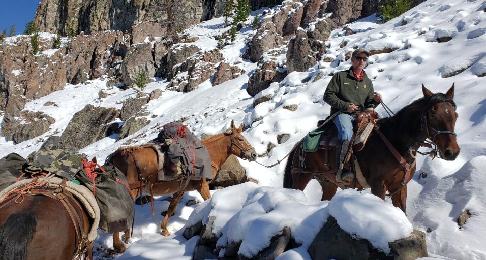 Grant Gerharter leads a pack sting up a snowy trail. 