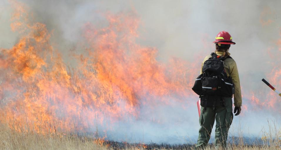 BLM fire crew on site at Ocean Lake during a prescribed fire in 2019. Fire burning the wetland with bright orange flames 30 yards in front of fire crew