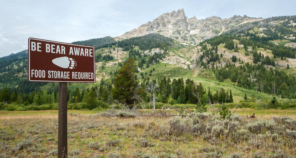 A sign encouraging bear safety in front of a mountain background