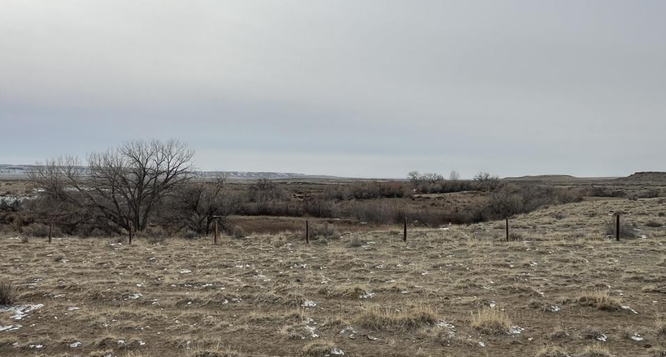 Image of habitat at Sand Mesa Wildlife Habitat Management Area