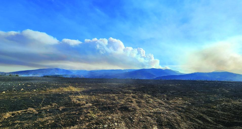 The Elk Fire, which was one of two large fires that burned in northeast Wyoming in 2024.