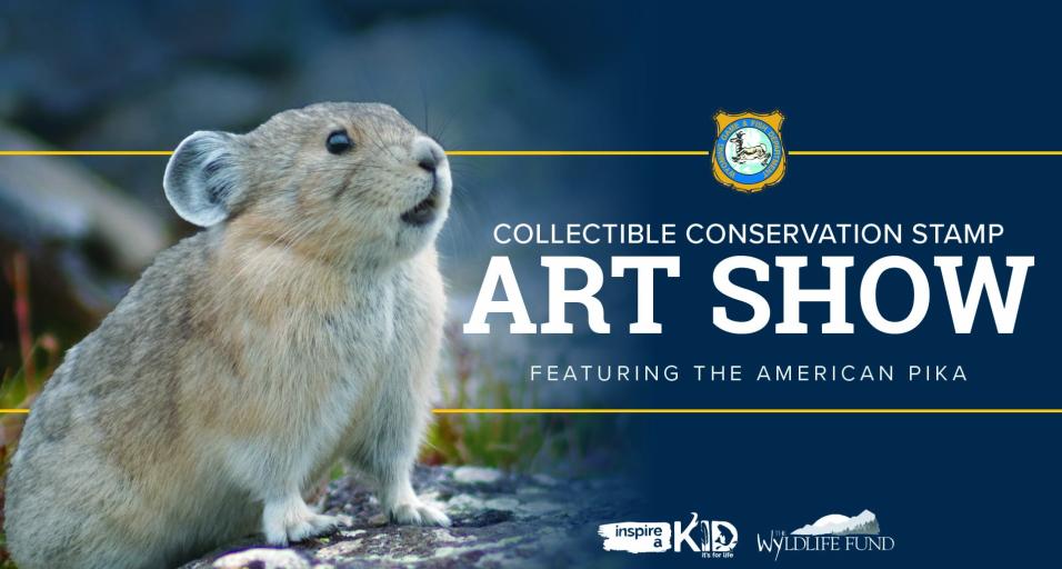 Conservation Art Show artwork featuring American pika