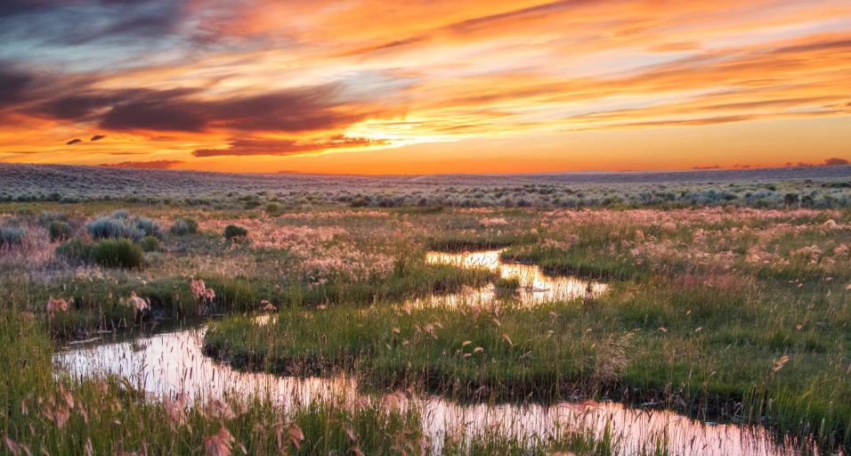 Sunset over riparian area near Eden, WY