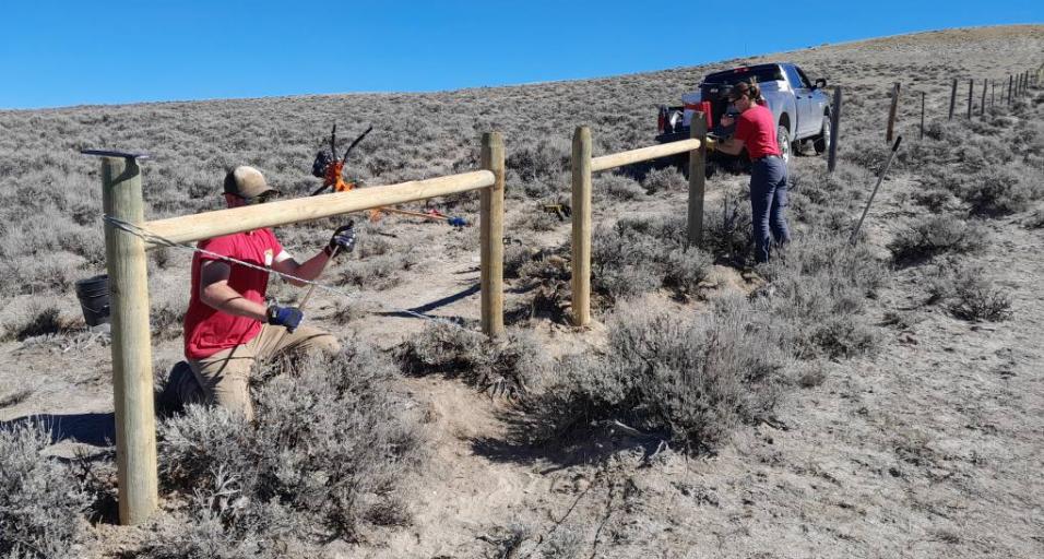 Building fence in Pinedale Region