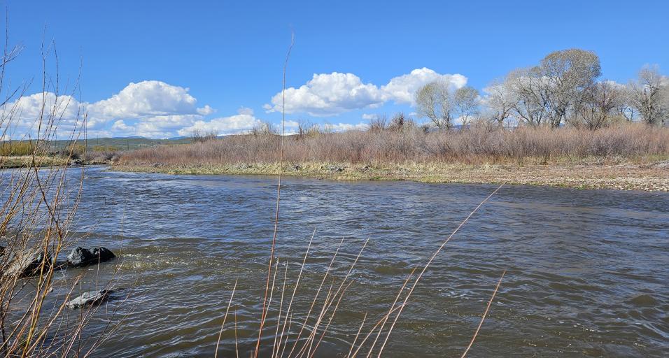 the Popo Agie River at the access area