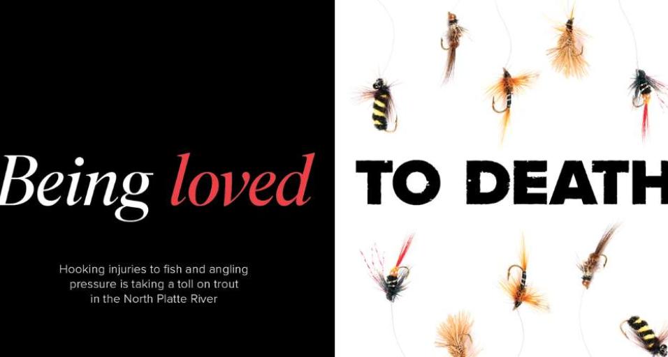 The opening spread for a magazine article with the text "Being Loved" on a black background and  "to Death" on a white background featuring dry flies