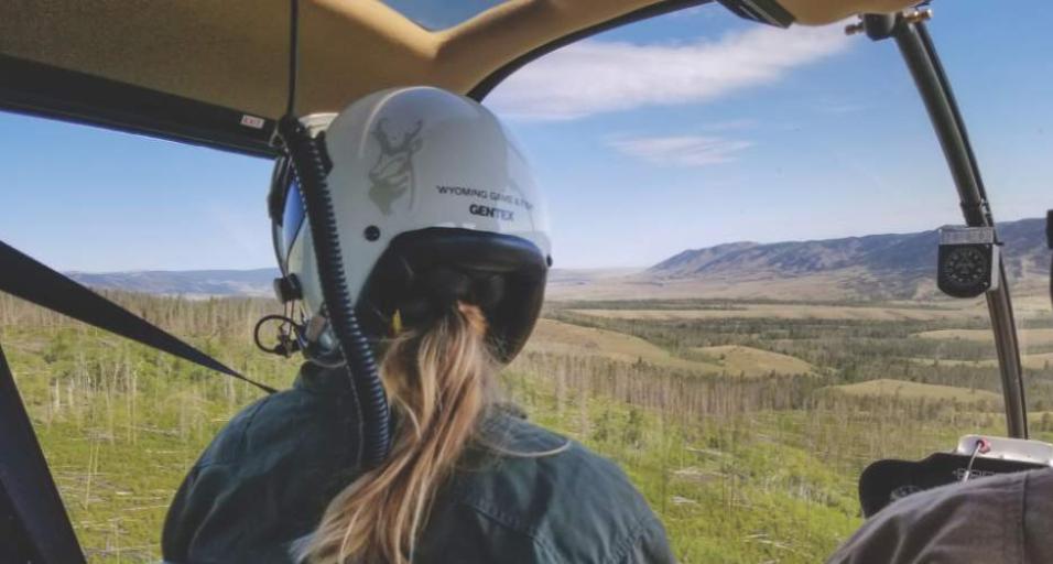 A biologist looks out of a helicopter cockpit at the forested landscape below