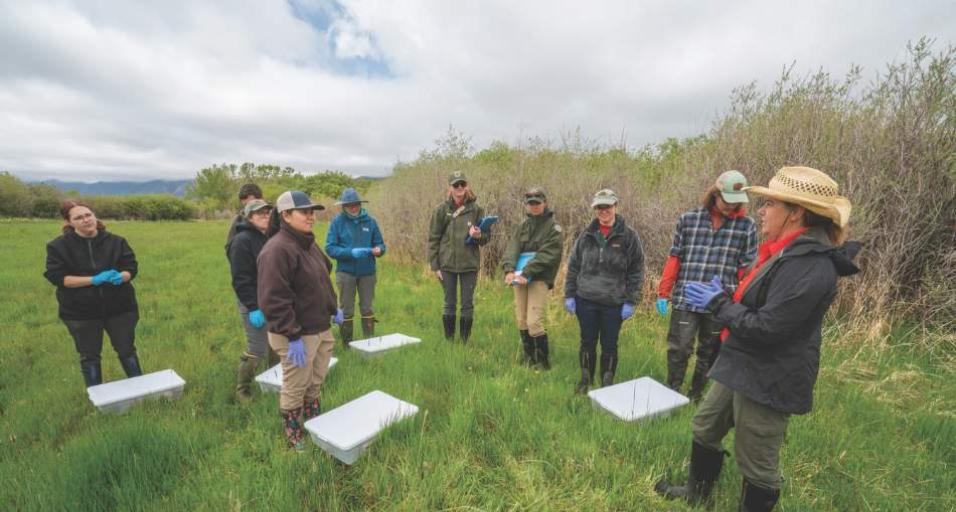 Wendy Estes-Zumpf, right, Wyoming Game and Fish Department herpetological coordinator, provides instructions to participants on a Wyoming Toad release day.