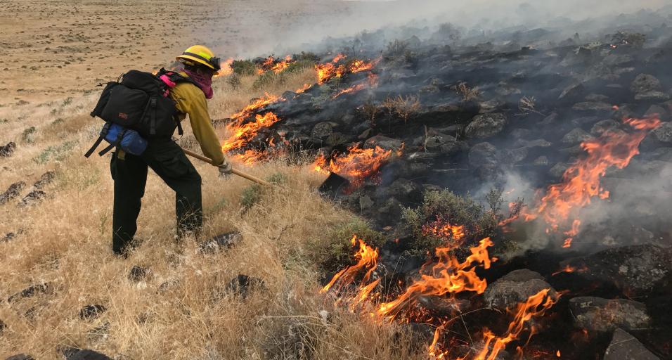 Firefighter working on a cheatgrass fire