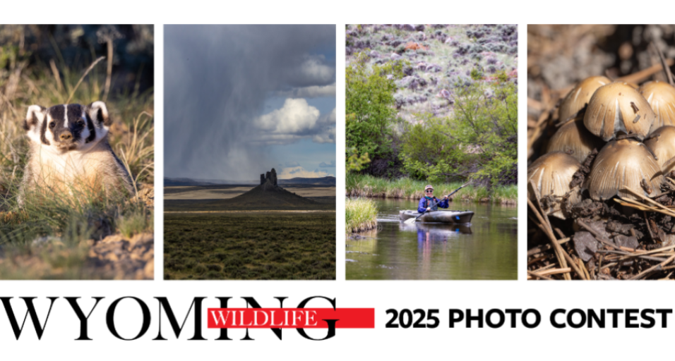 Wyoming Wildlife Photo Contest Logo