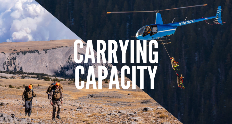 Carrying Capacity Movie Thumbnail