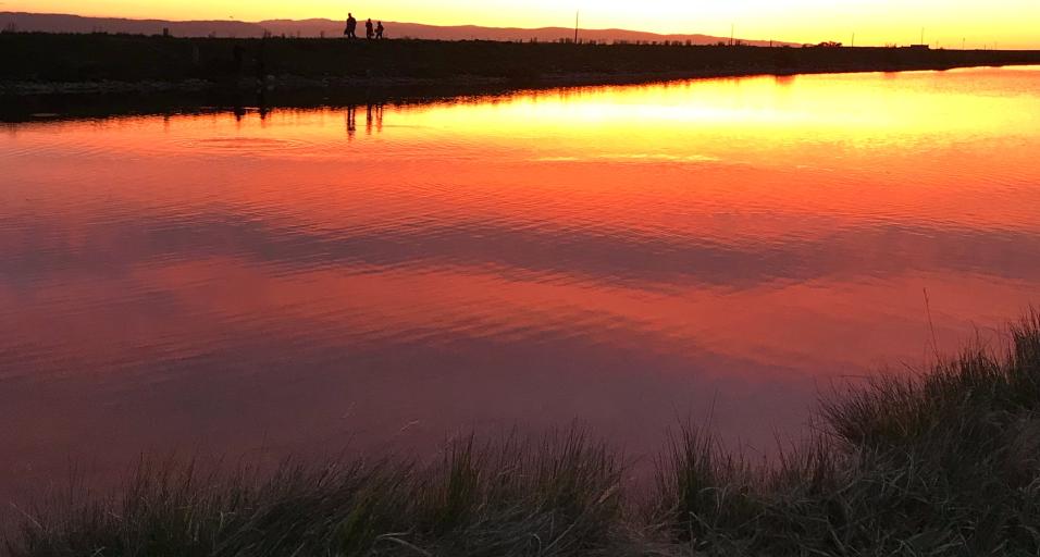 Leazenby Lake Public access area at sunset.