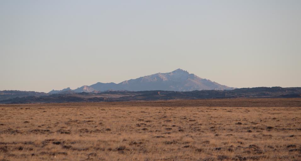 Shield on formal blue