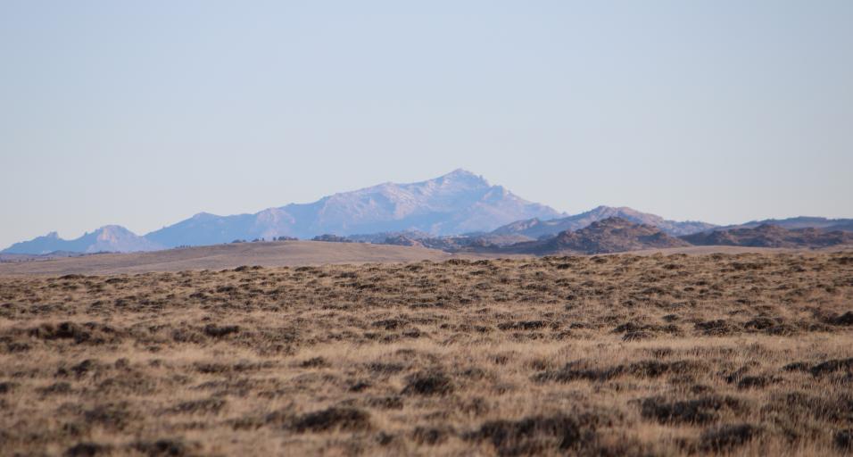 Laramie Peak Landscape