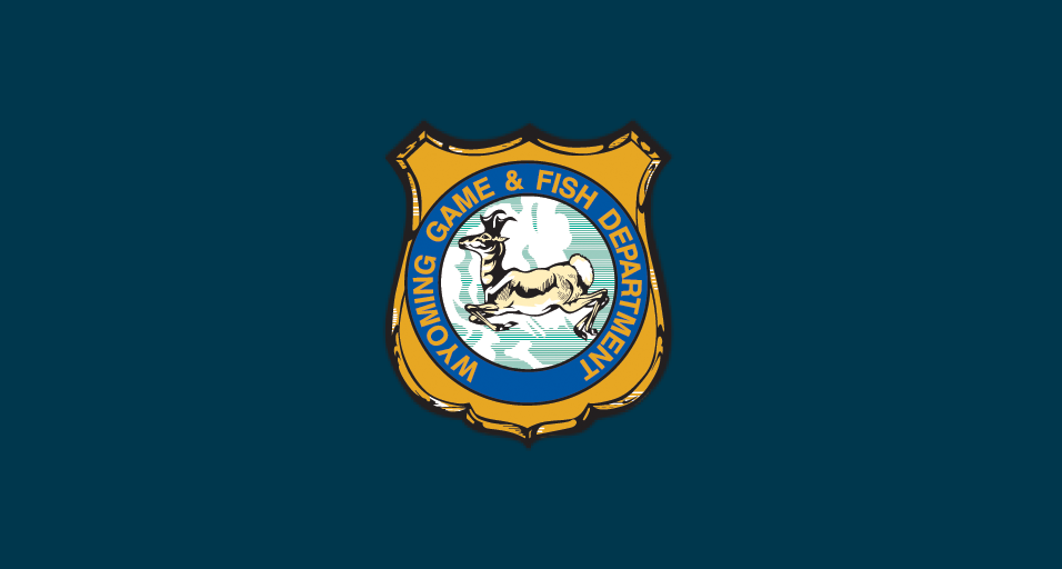 WGFD Shield on formal blue