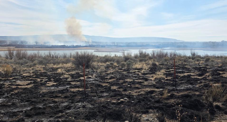 A photo of blackened brush and a smoke plume in the distance behind Kane Cemetery Pond on Yellowtail Wildlife Habitat Management Area. 