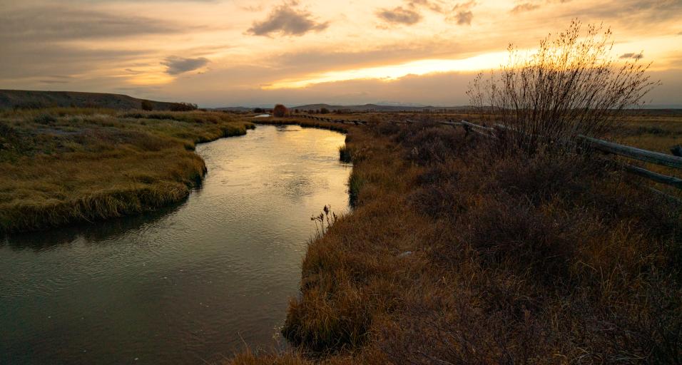 Photo of river running through a WHMA - Rod Public Access Area