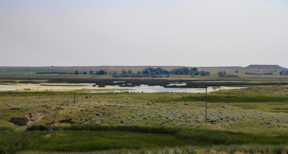 Landscape of Table Mountain Wildlife Habitat Management Area