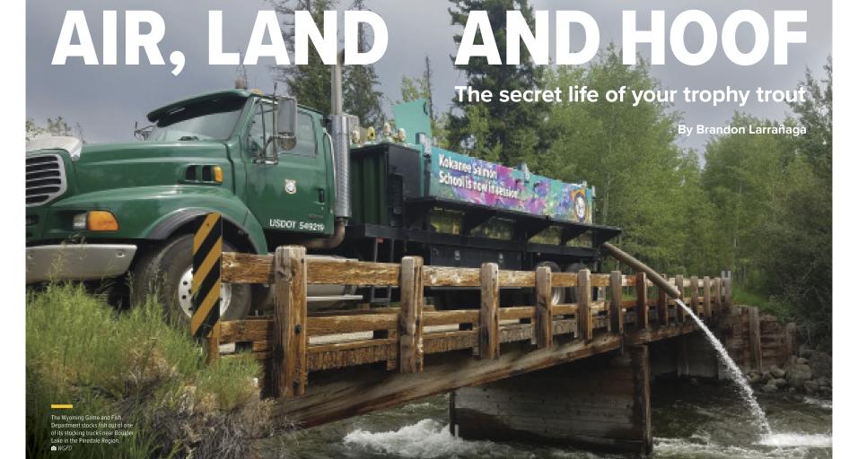 The Wyoming Game and Fish Department stocks fish out of one of its stocking trucks near Boulder Lake in the Pinedale Region.